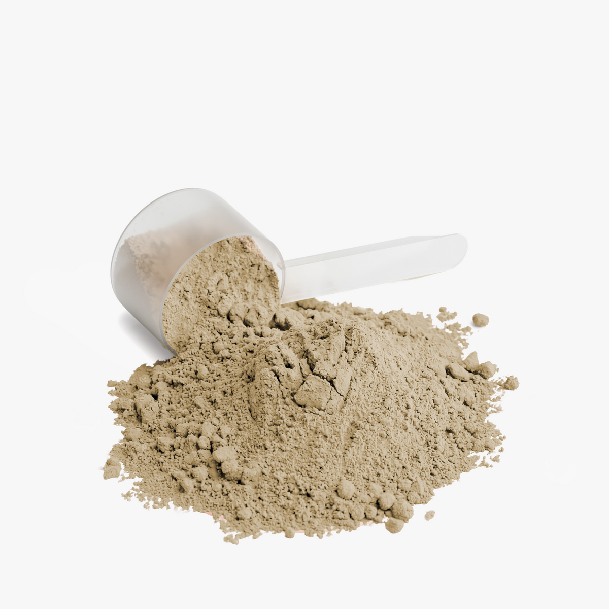 Supplement Plant Protein (Vanilla)